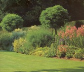 園林(lín)樹(shù)木(mù)起挖、包裹及運輸的(de)注意事(shì)項